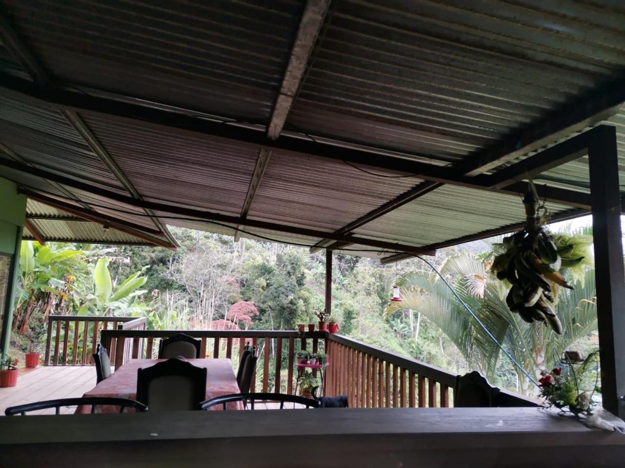 Bella Vista Guest House Turrialba Eksteriør bilde