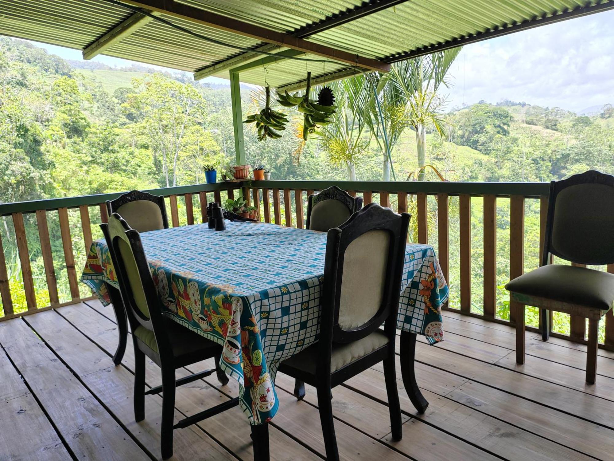 Bella Vista Guest House Turrialba Eksteriør bilde